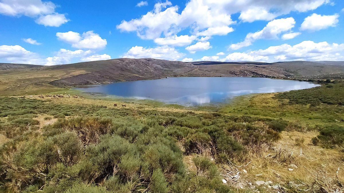 Llagona los Peces