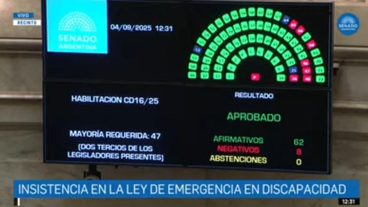 La votación en el Senado que habilitó el tratamiento de la insistencia.
