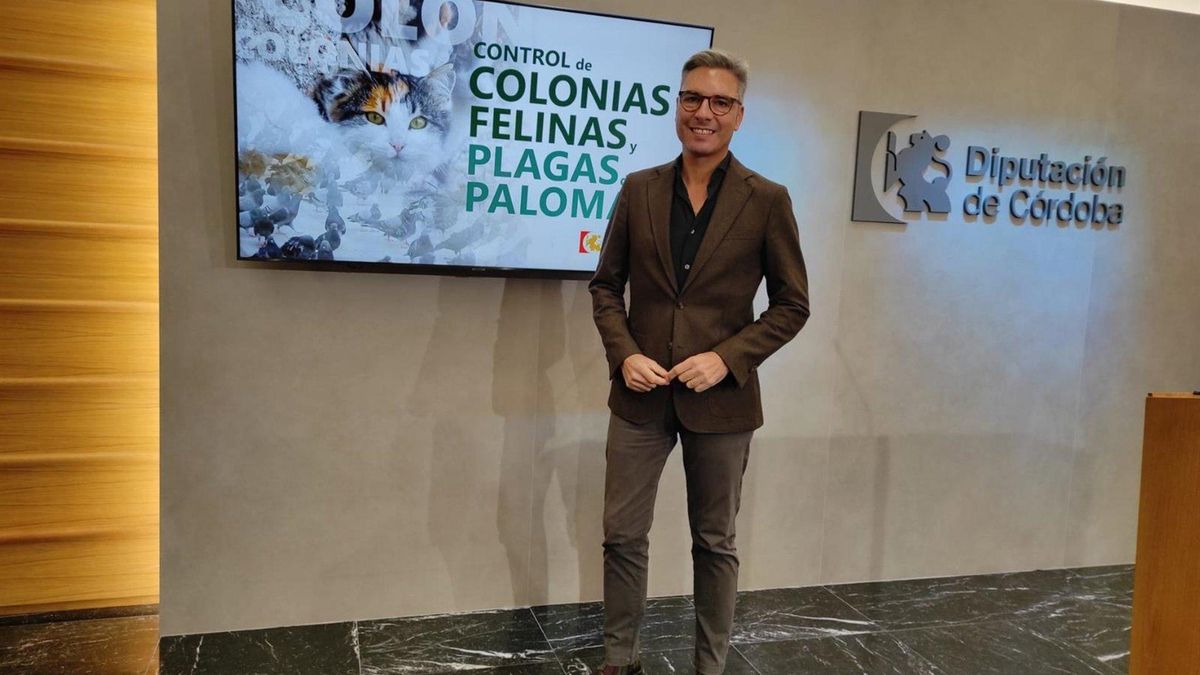 La Diputación colaborará con los ayuntamientos para el control de colonias felinas y plagas de palomas
