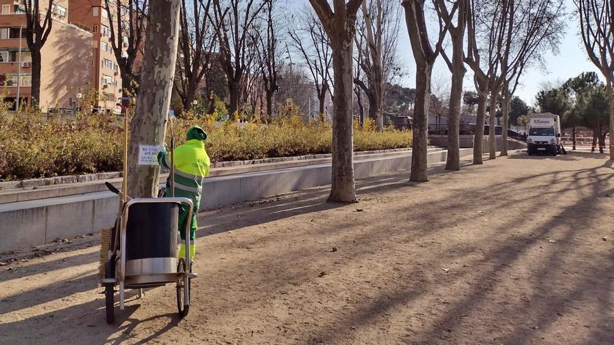 Operario municipal retirando los carteles de los árboles que serán talados