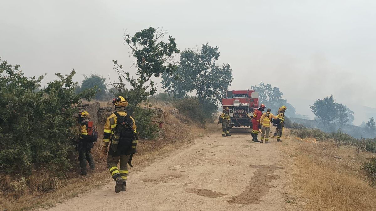 Trabajos de extinción en Gascueña de Bornova (Guadalajara) por el incendio forestal de La Mierla