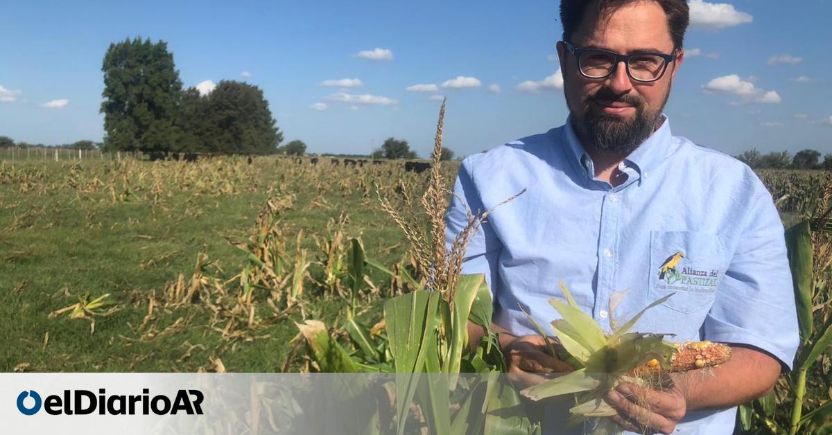 Agricultura Precios Historicos Soja Bolsa De Comercio De Rosario