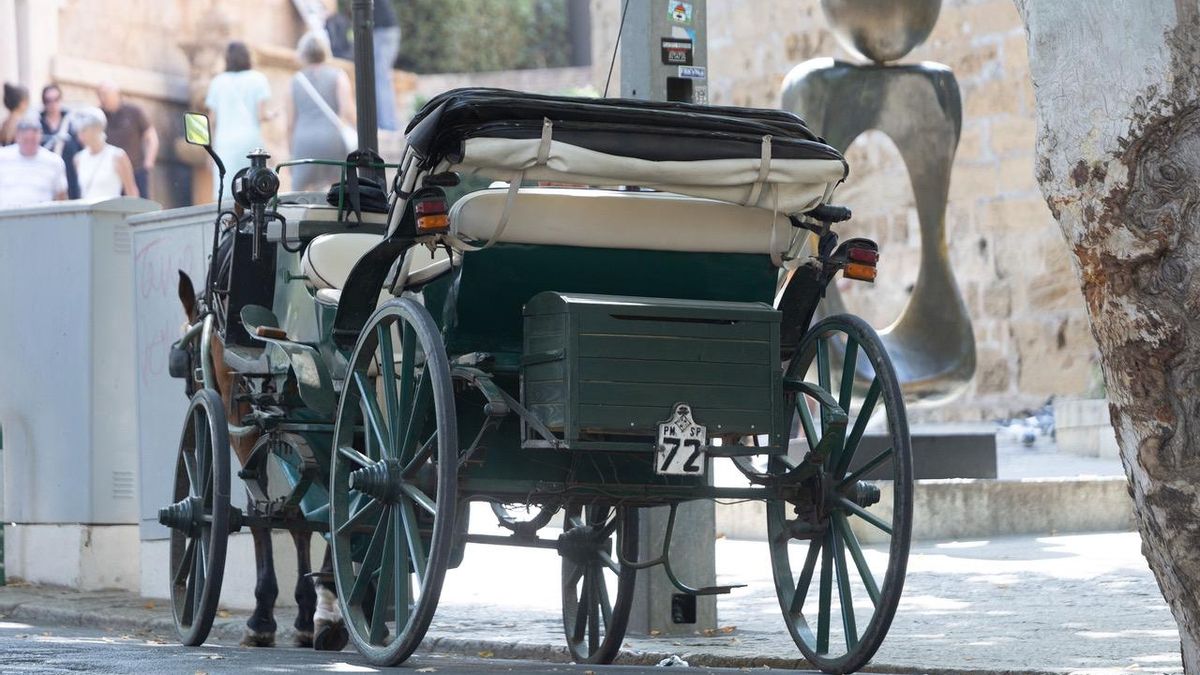La calessa 72 donant servei als turistes que visiten el centre de Palma