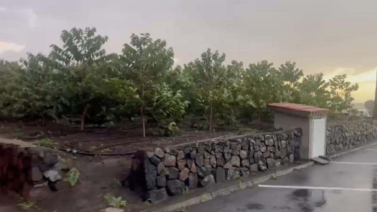Lluvia y viento en el municipio de  Breña  Alta a primera horas de este miércoles.