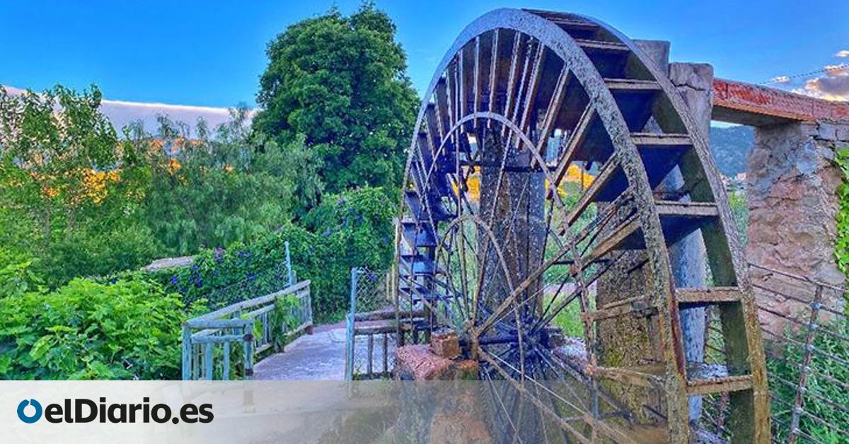 La excursión perfecta para finales de febrero: en Murcia y el cauce del río Segura