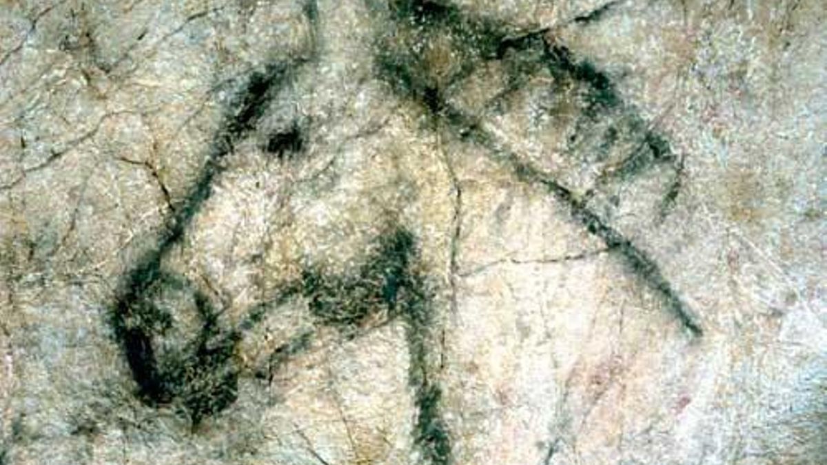 Cabeza de caballo en la cueva de Tito Bustillo.