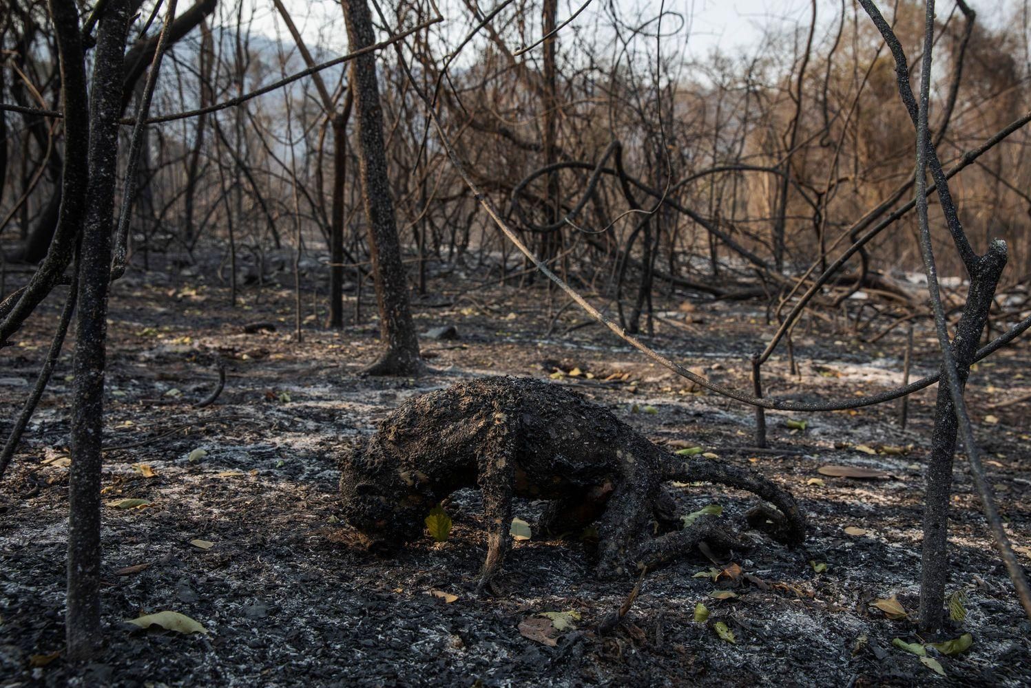 Primer premio ‘Fotógrafo Iberoamericano 2021’