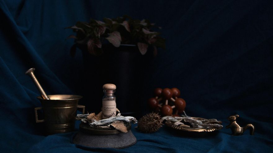 El retorno a lo natural: el "boom" de los hongos en tratamientos terapéuticos