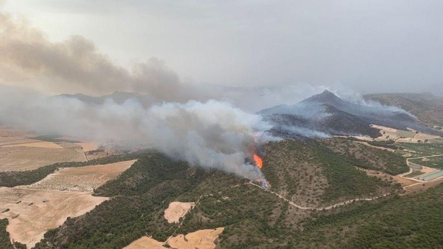 Incendio forestal en Jumilla: Murcia pide la movilización de la Unidad Militar de Emergencia