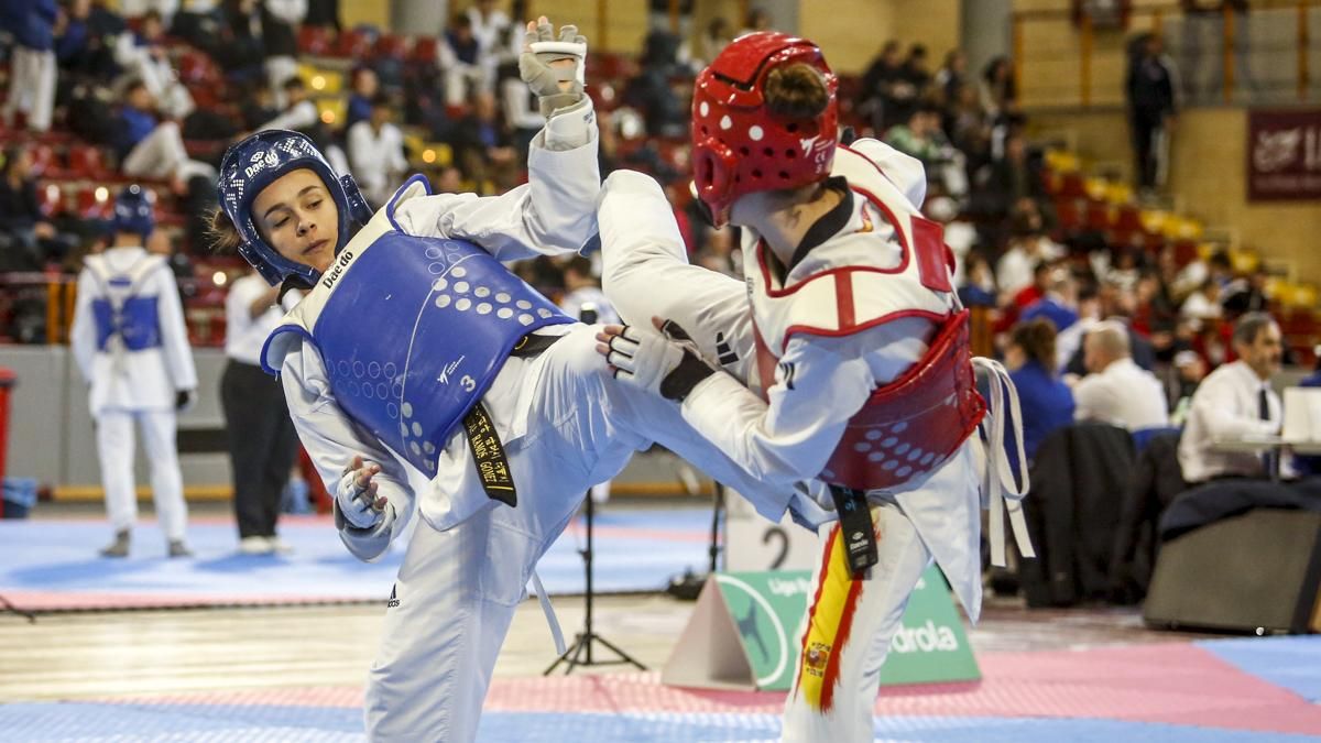 Open internacional de Andalucía de Taekwondo y Copa Iberdrola