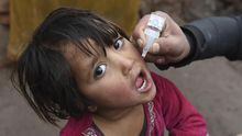 Un trabajador de los servicios sanitarios suministra la vacuna de la polio a una niña en Jalalabad (Afganistán)