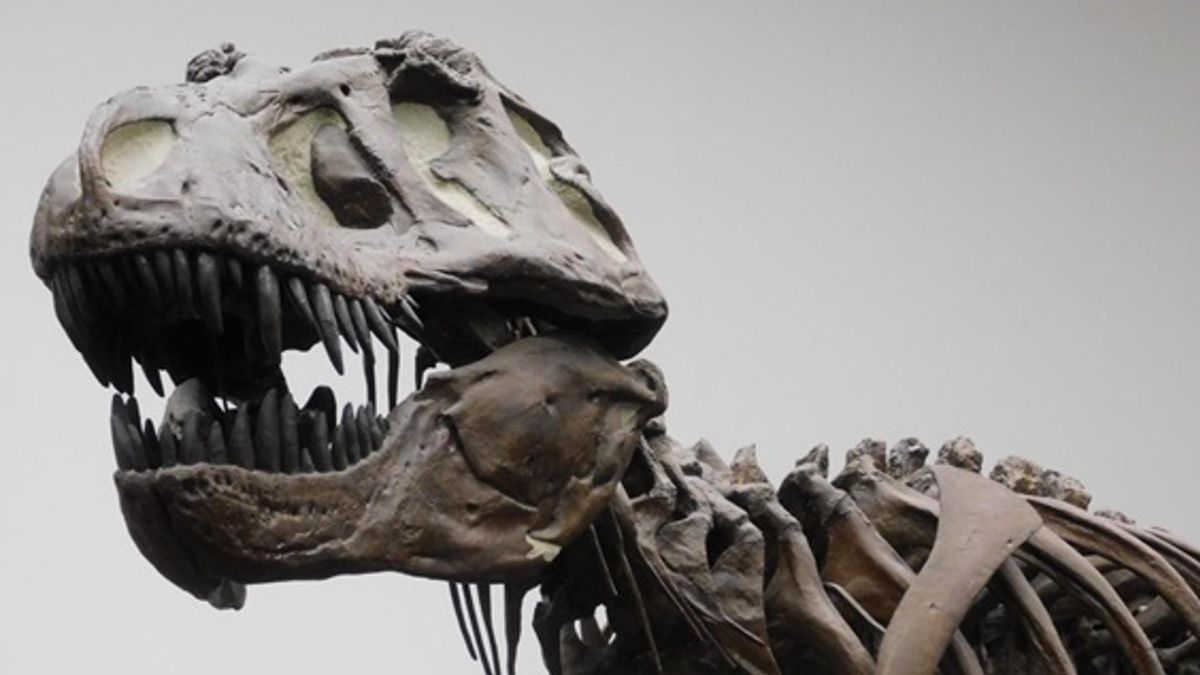 ¿Por qué los dinosaurios carnívoros como el ‘Tyrannosaurus rex’ tenían brazos diminutos?