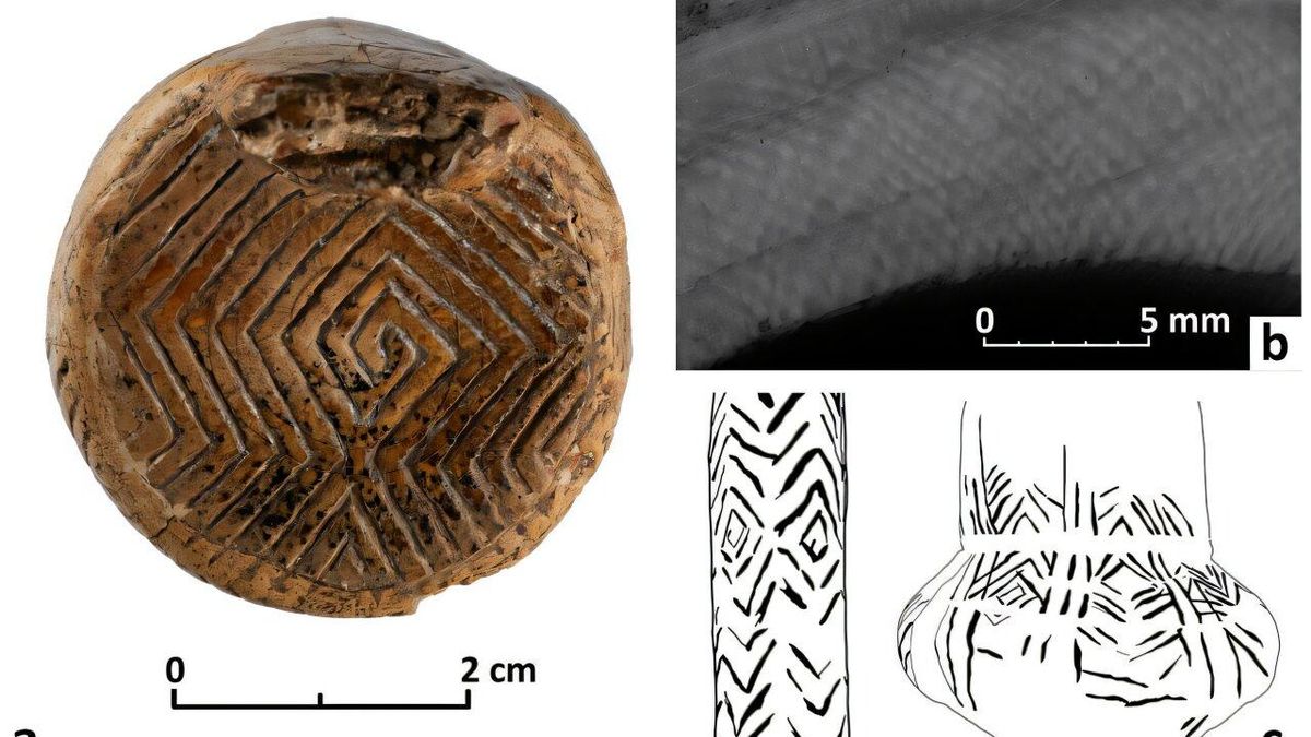 ¿Cómo era el arte en la Edad de Hielo? Un estudio descubre que los humanos se inspiraban en el marfil de los mamuts
