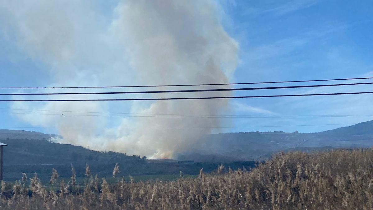 Controlado el incendio de Ribafrecha después de arrasar 63 hectáreas de cereal y pinar
