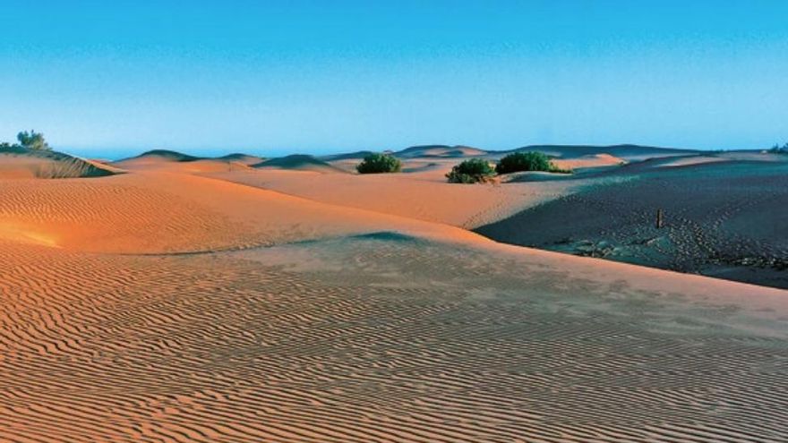 El Cabildo de Gran Canaria impone 120 sanciones de enero a julio por transitar por las Dunas de Maspalomas