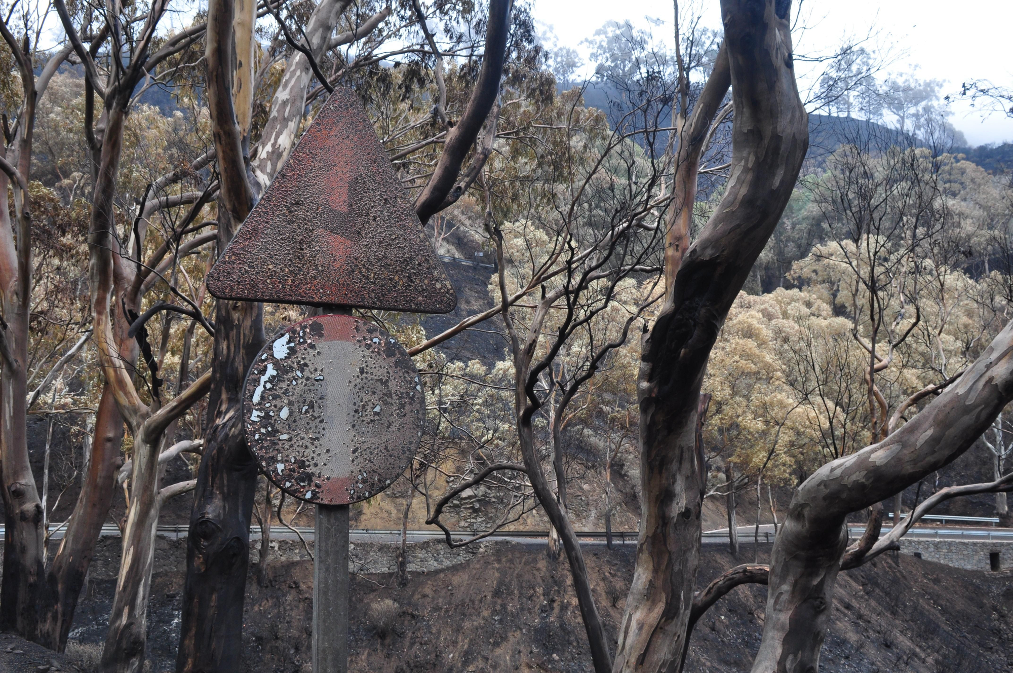 Efectos del incendio en la Cruz de Tejeda. (ÁNGEL SARMIENTO)