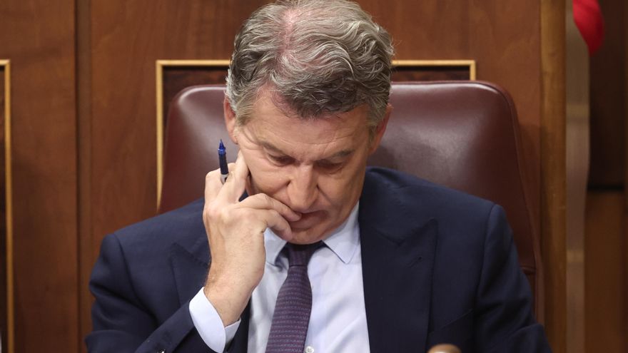 PP y Vox callaron en las Cortes durante los 15 meses de tramitación de la ley de nietos sin cuestionar las nacionalizaciones