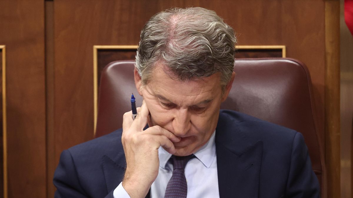 El líder del PP, Alberto Núñez Feijóo, esta semana en el Congreso.