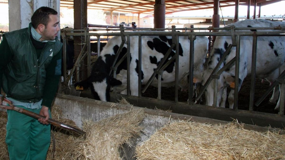 El sector agrario recauda casi 50.000 euros para donar material sanitario a los hospitales de la región