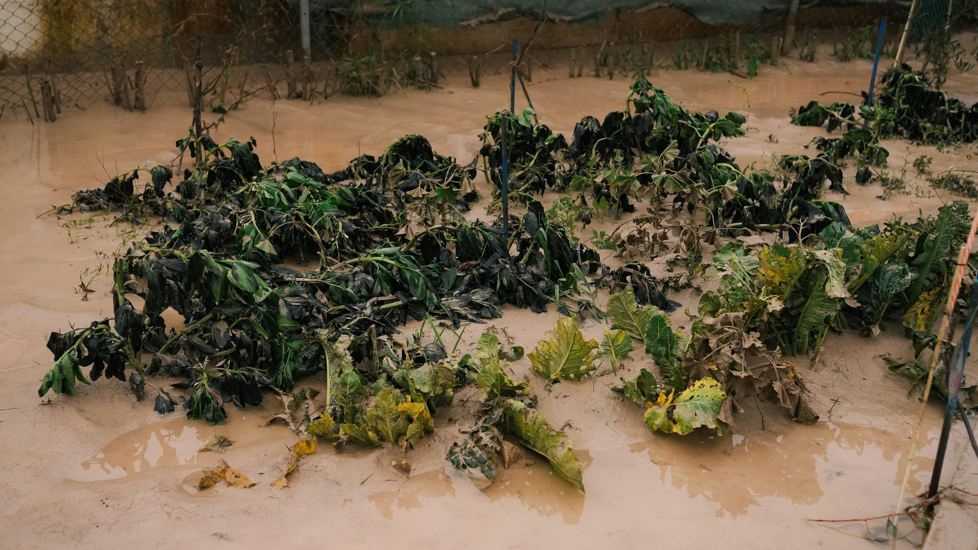 El lodo y el barro, dentro de las parcelas de las calles Perdiz y La Tórtola