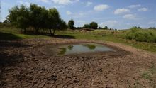 Existe una brecha entre la alerta científica del cambio climático y la percepción social