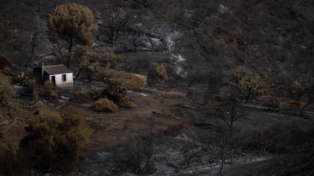 La "evolución favorable" del incendio de Niebla permite el regreso a casa de otros 154 vecinos desalojados