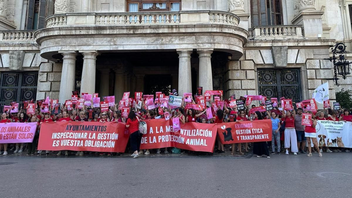 Concentración en València contra la adjudicataria del refugio de animales: "no son plagas, son fauna urbana”