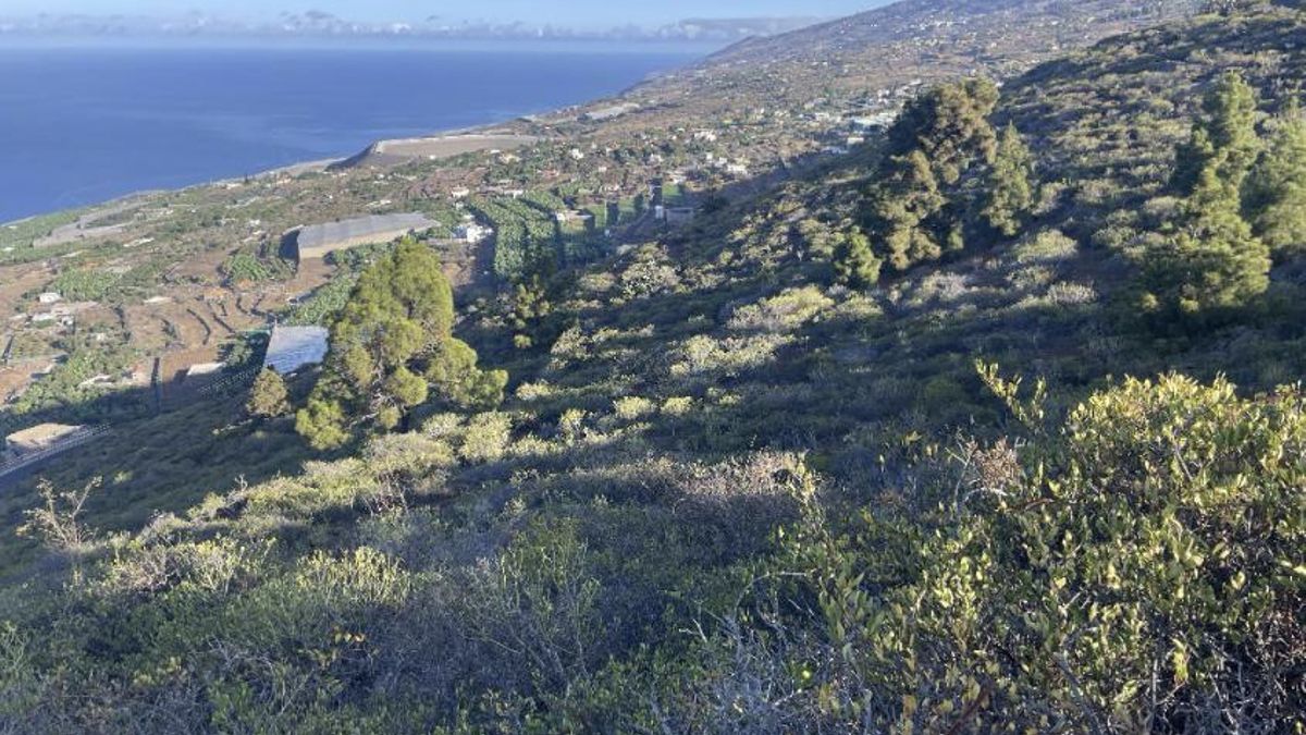 Los cantones o bandos prehispánicos de Benahoare (XI): Tixarafe