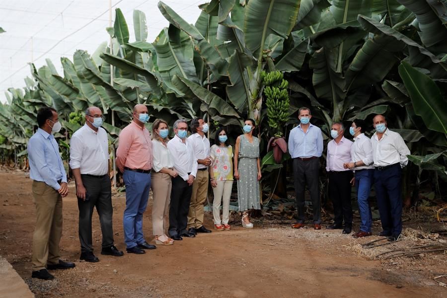 Los Reyes durante su visita a una explotación platanera en el Sur de Tenerife.