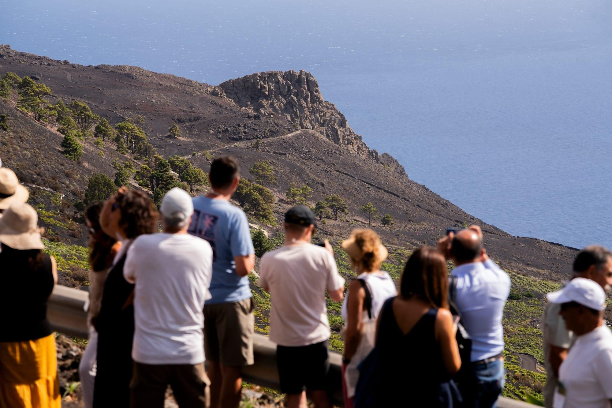 Uno  de los paseos interpretativos por el paisaje vitivinícola de Los Quemados, en Fuencaliente, en el marco de las IV  Jornadas de la Malvasía  'La viña y el vino'.