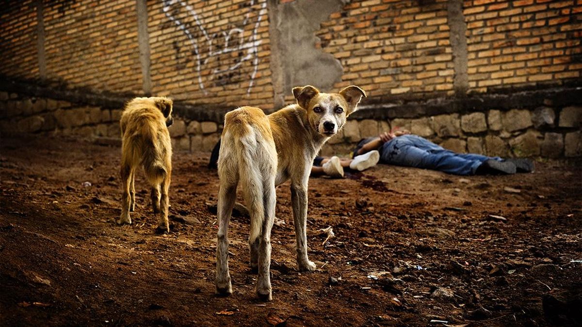 'Click 20', un pequeño homenaje al fotoperiodismo cántabro