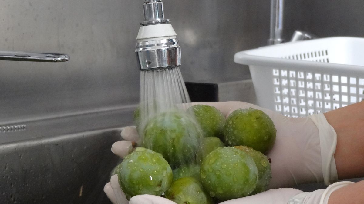 Casa de la Mermelada en Anguiano