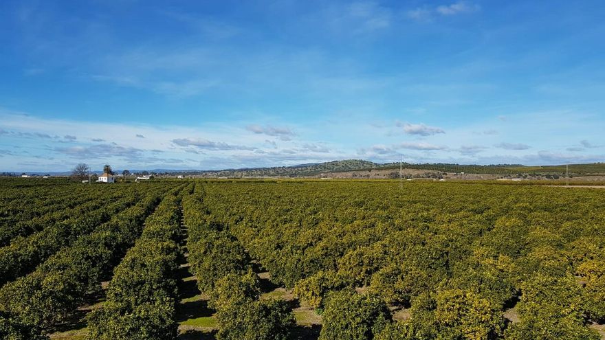 Adjudicada la obra millonaria de una gran planta solar para el bombeo de agua al regadío en el Guadalquivir