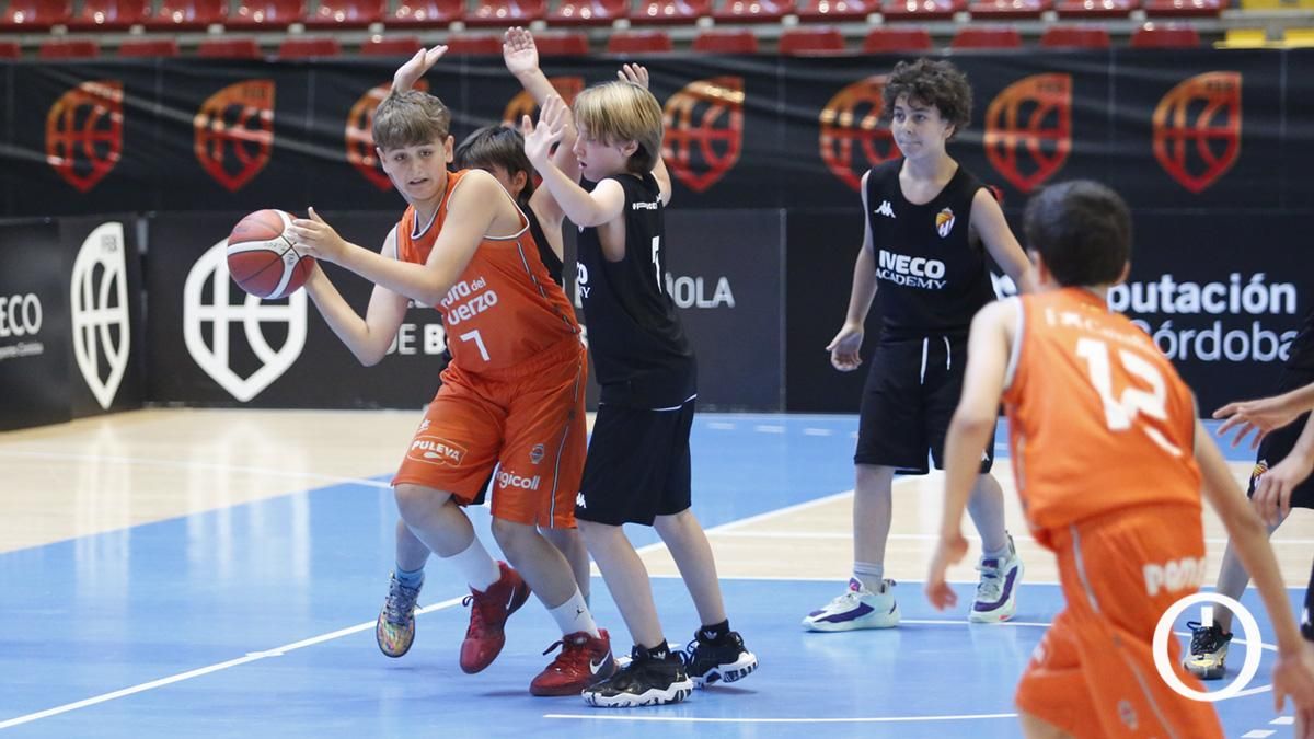 Campeonato de España minibasket