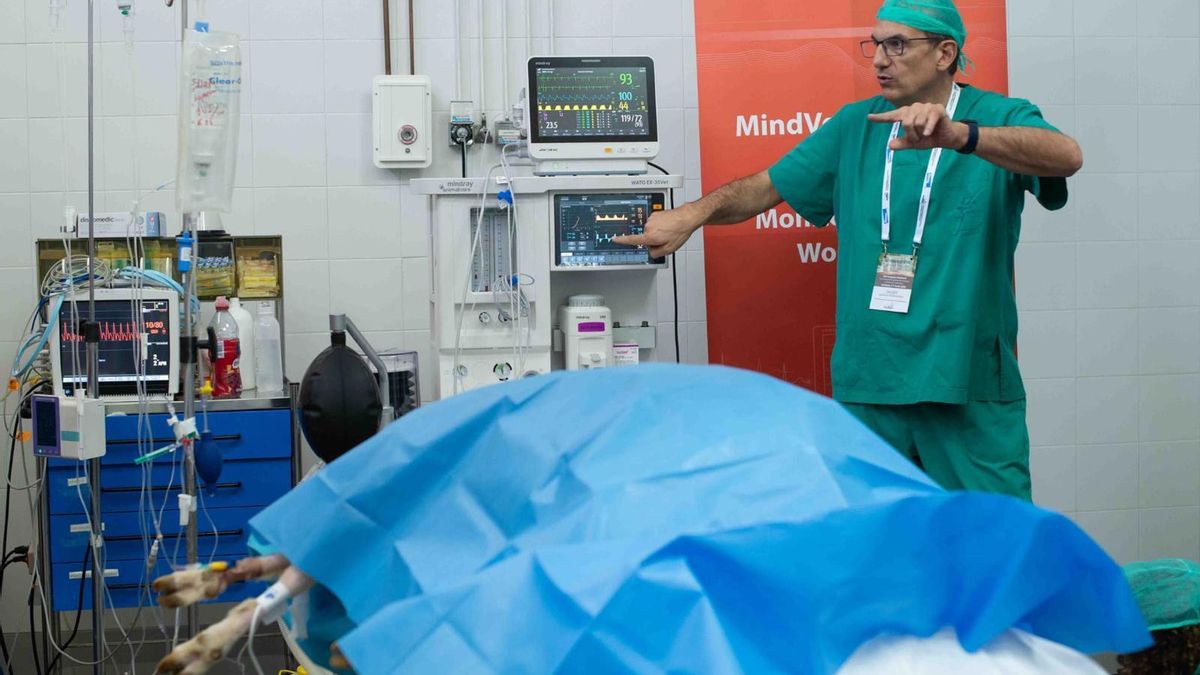 Imagen del Hospital Clínico Veterinario de Rabanales.