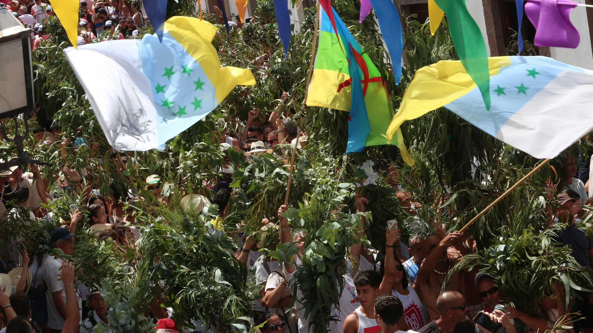 Galería de imágenes de La Rama 2025