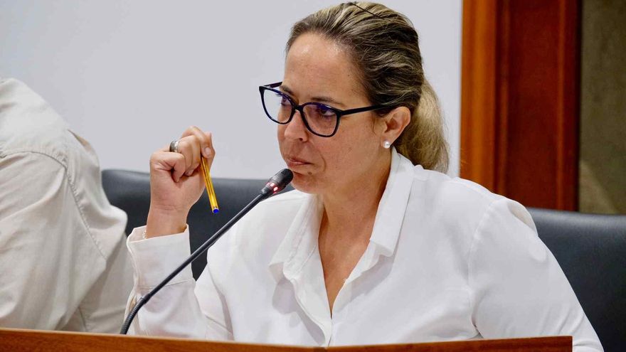 Susana Machín, consejera del Grupo Socialista en el Cabildo de La Palma.