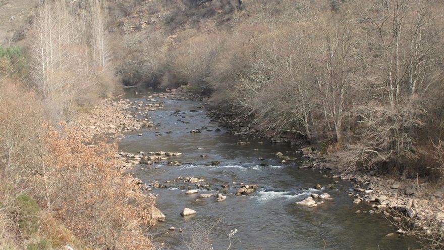 Cantabria suspende la pesca en cuatro tramos de los ríos Asón, Pas, Nansa y Deva por la sequía