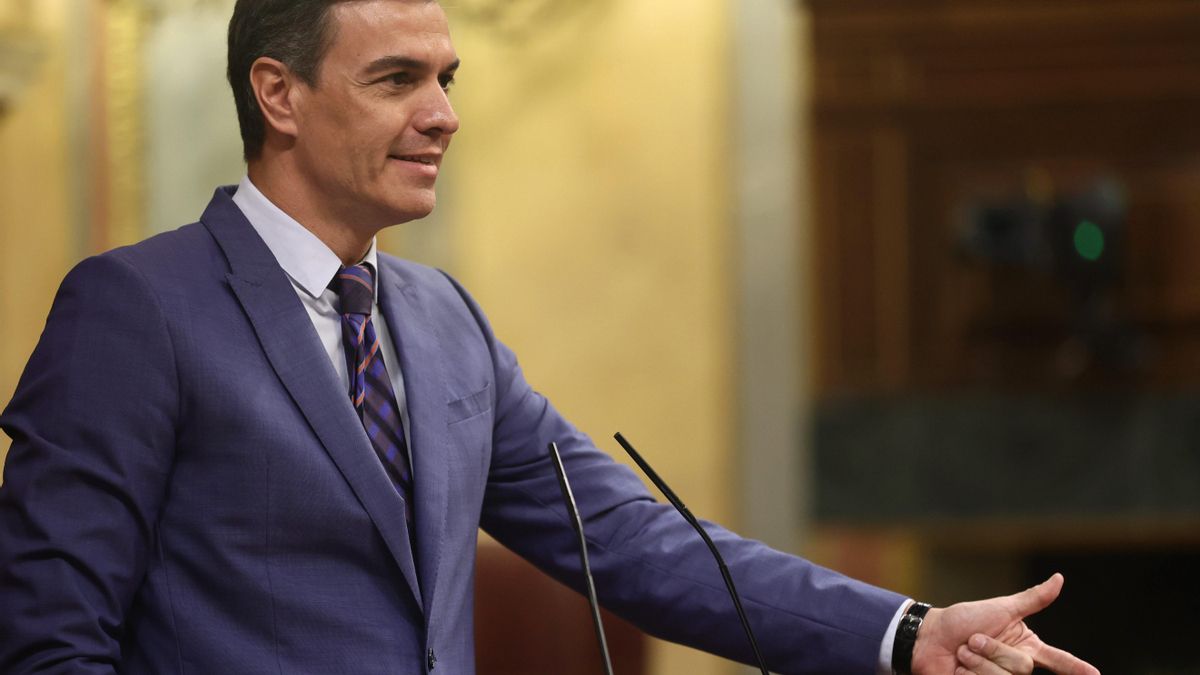 El presidente del Gobierno y secretario general del PSOE, Pedro Sánchez, interviene en una sesión plenaria, en el Congreso de los Diputados.