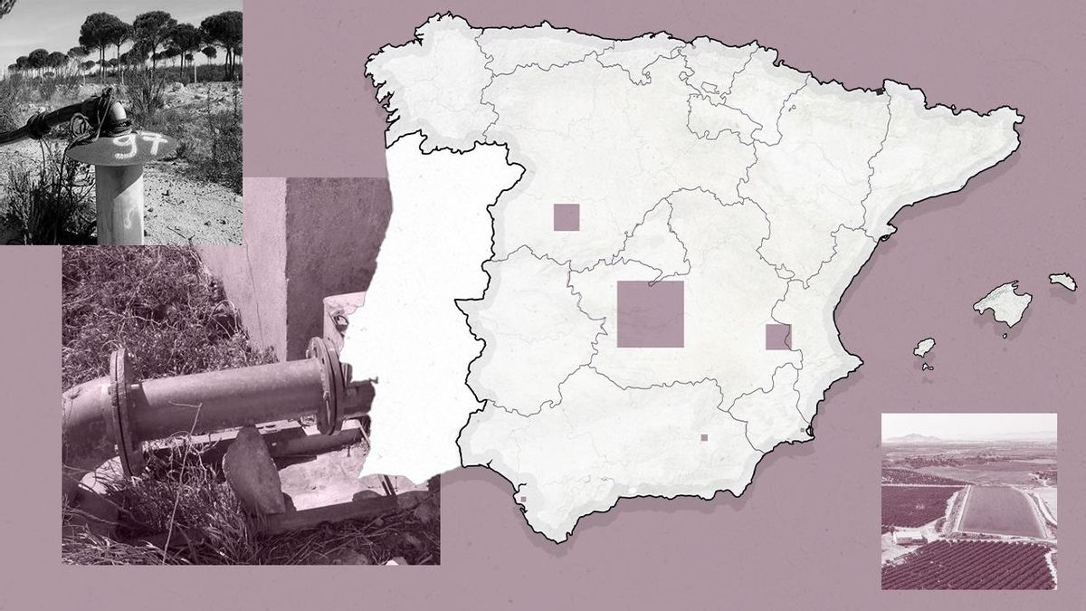 Radiografía del robo de agua en España: cómo se vacían acuíferos para regar
