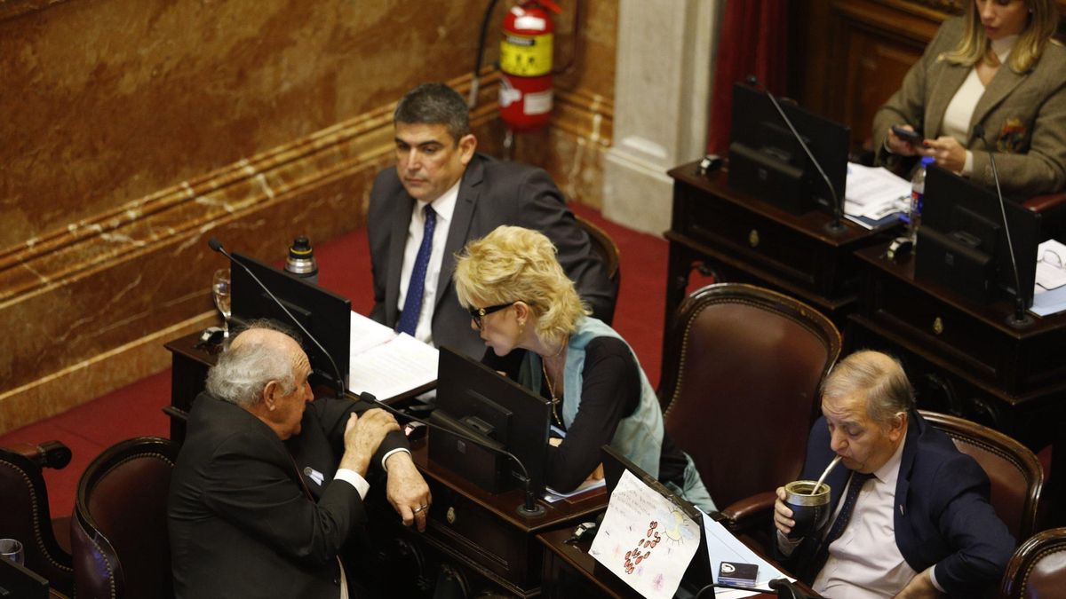 El Senado avanza para sancionar definitivamente la ley