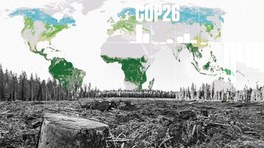 El acuerdo de Glasgow para salvar los bosques en 2030 llega mientras se bate el récord de destrucción de la Amazonía