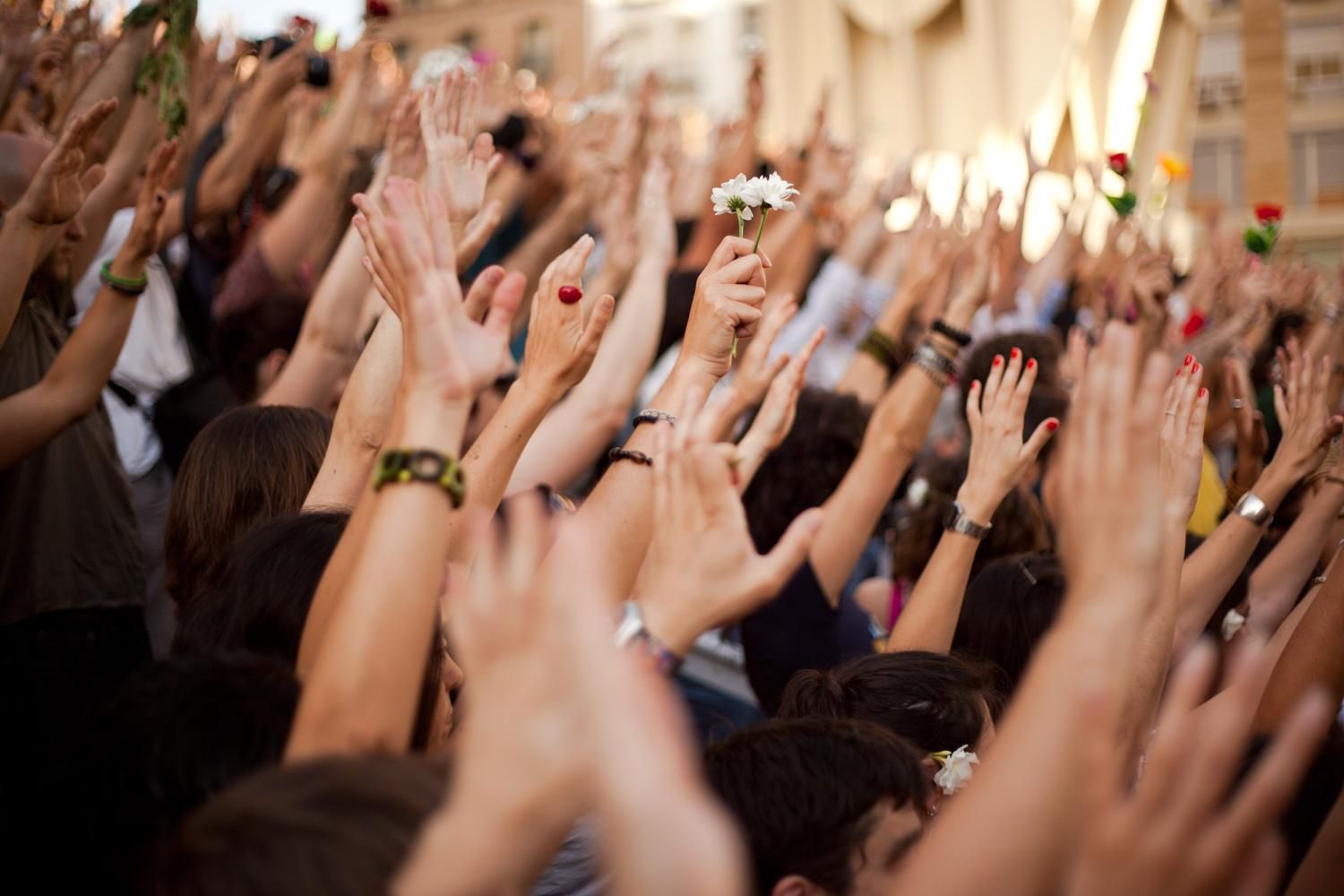 Flores en las setas el 27/5