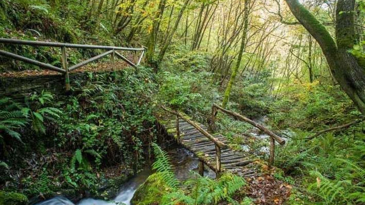 Sendero de la Ruta del Agua en Taramundi