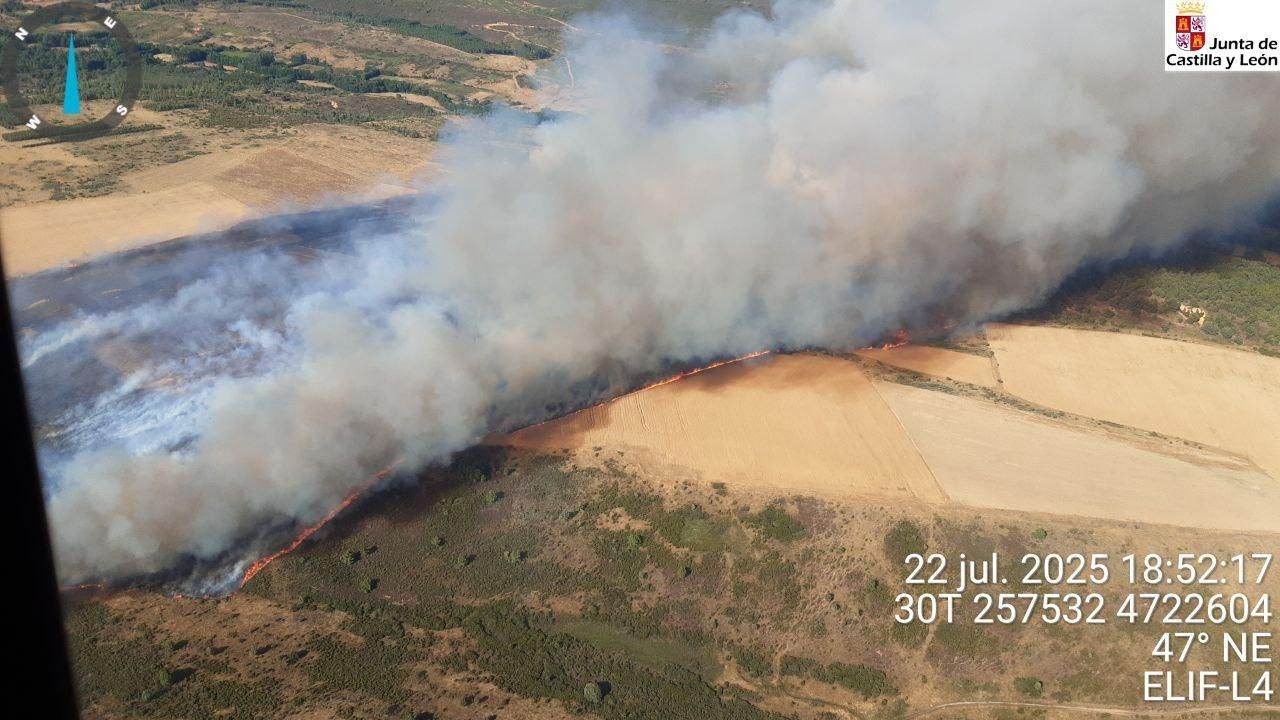 El frente del incendio en Ferreras, en terrenos agrícolas que avanza a toda velocidad a una zona arbolada.