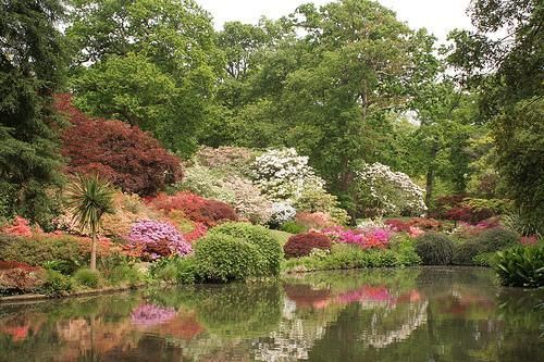 Jardín inglés donde se aprecia una tendencia a la naturalidad.