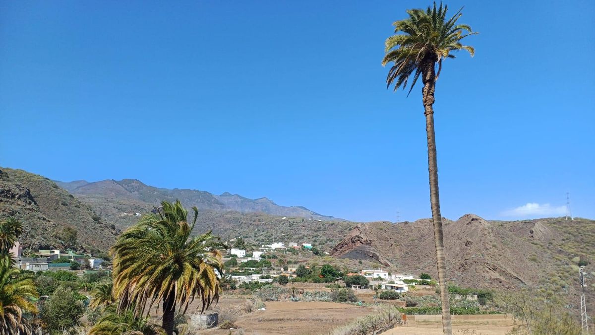 Imagen de archivo de un día de cielos poco nubosos en el barrio de Lomo Magullo, Telde (Gran Canaria).