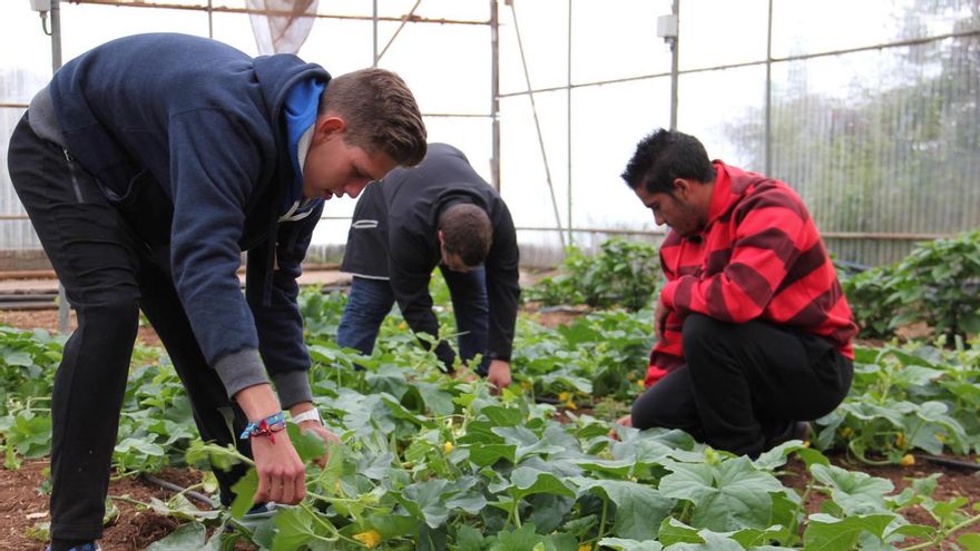 Alumnos del curso de la Escuela de Capacitación Agraria de Canaria.