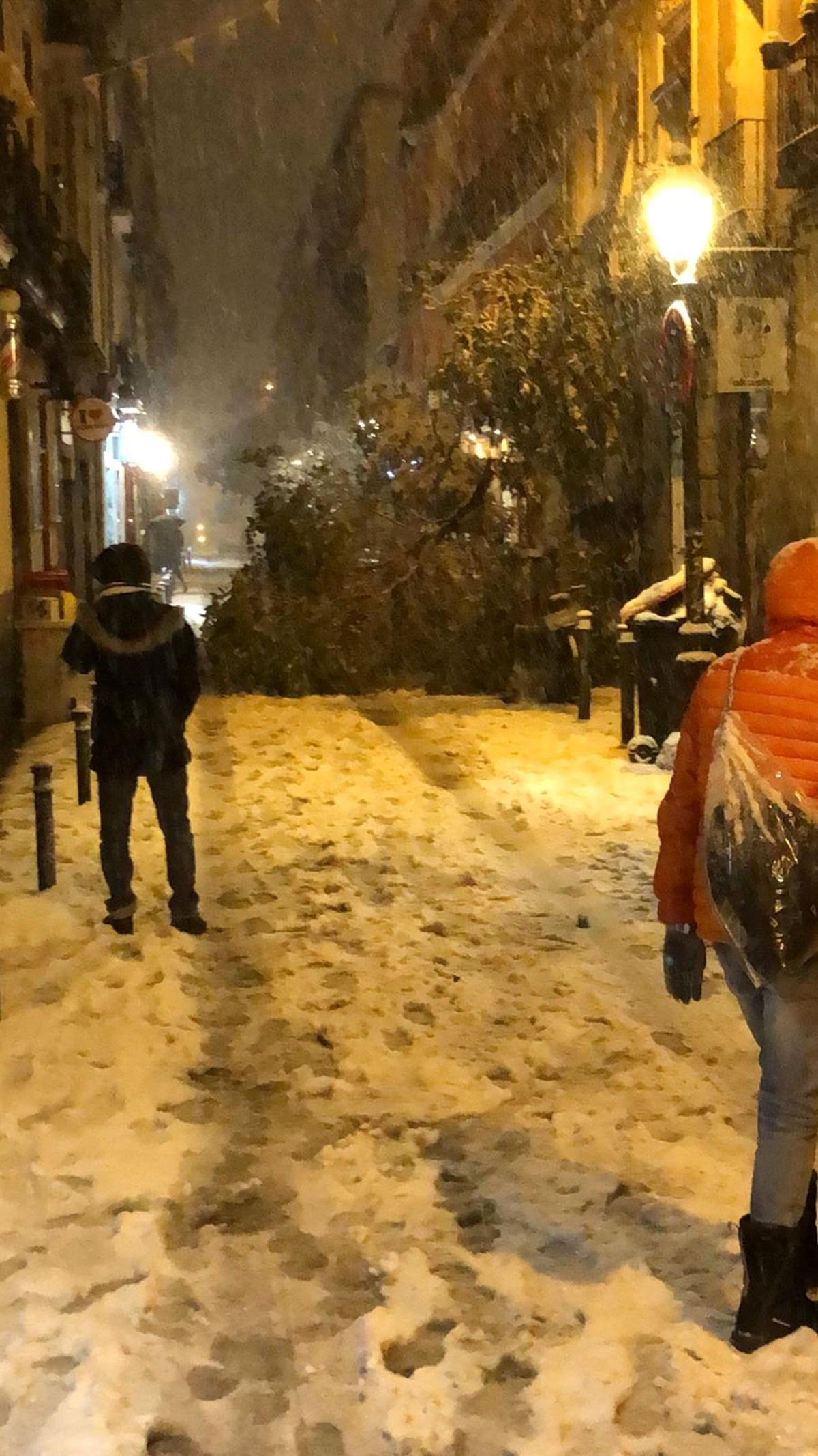 Ramas y árboles caídos en Malasaña a causa de la nieve