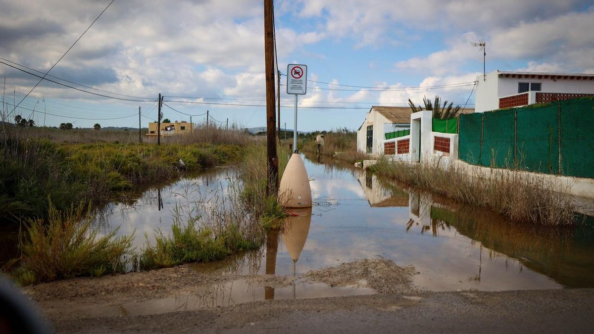 Ses Feixes des Prat de ses Monges, uno de los humedales que resistieron al avance urbanístico, luce rebosante de agua.